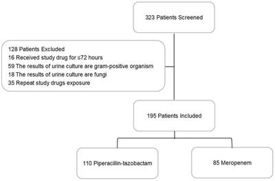 Efficacy and safety of piperacillin–tazobactam compared with meropenem in treating complicated urinary tract infections including acute pyelonephritis due to extended-spectrum β-lactamase-producing Enterobacteriaceae